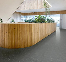 Forbo Sphera Energetic 51244 vivid ebony фото 2 | FLOORDEALER